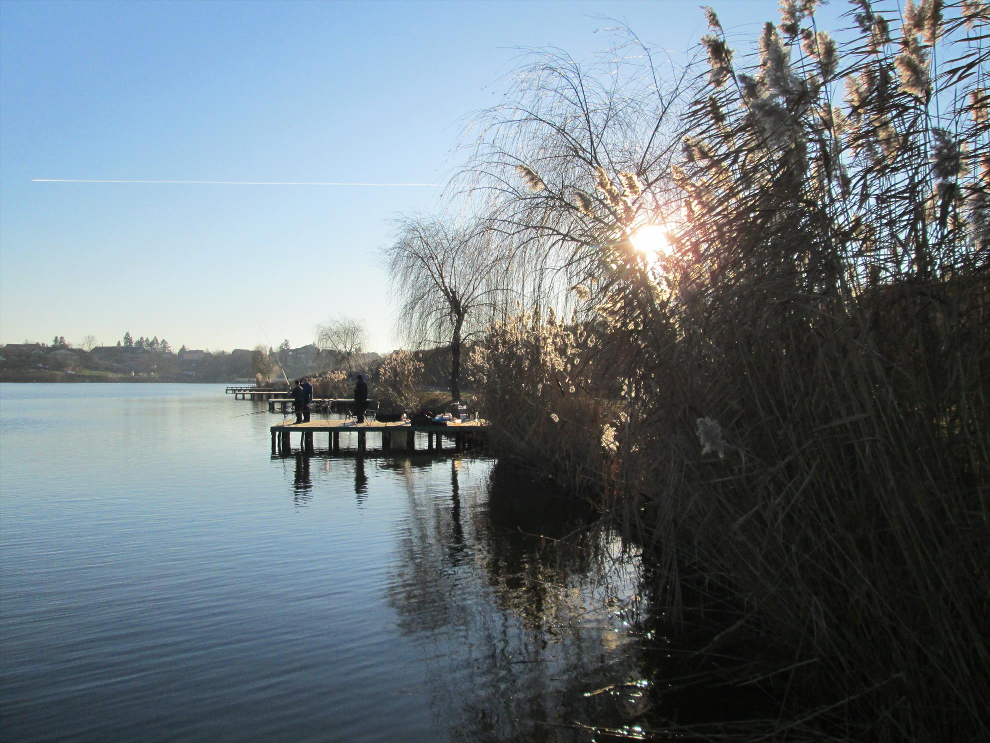 Moara Vlasiei 2 24 decembrie 2014 - img0567.JPG